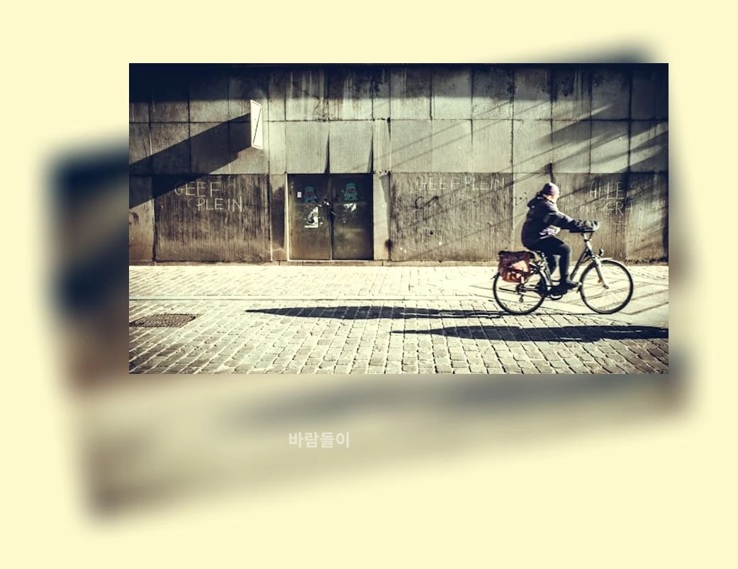 어덜트 레고_3_subsection