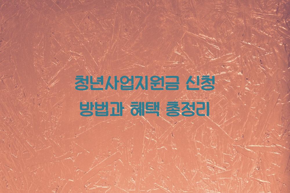 청년사업지원금