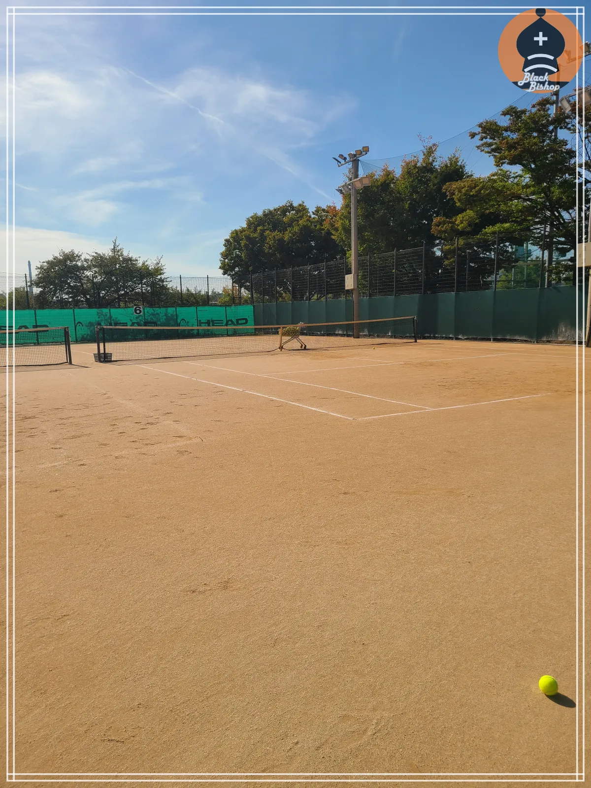 망원코트뷰_테니스공