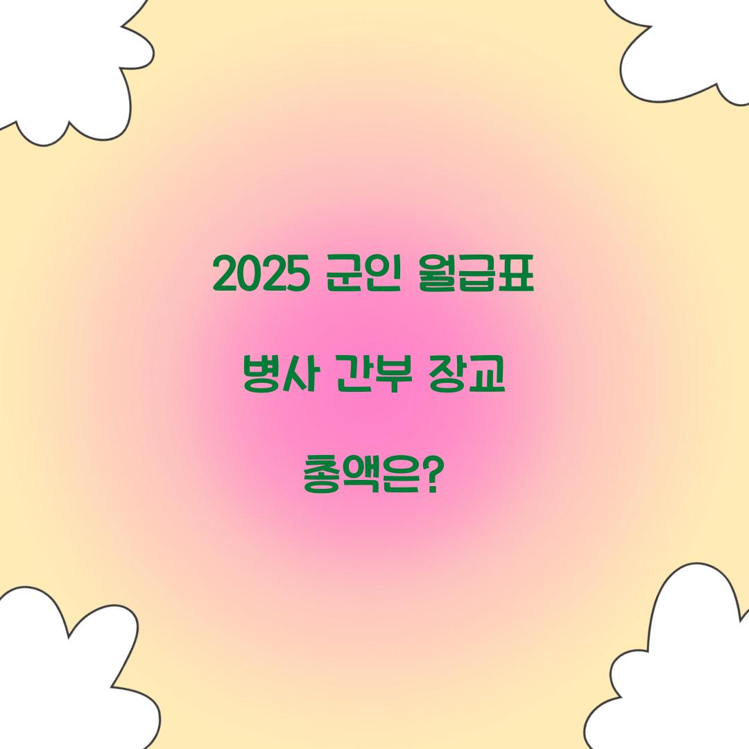군인 월급표