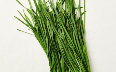 부추무침이미지