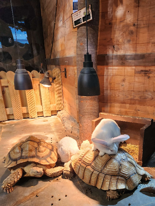 주렁주렁 할인안내