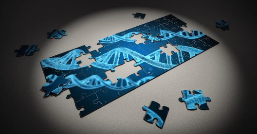 폐섬유증 초기증상과 폐에 좋은 음식3