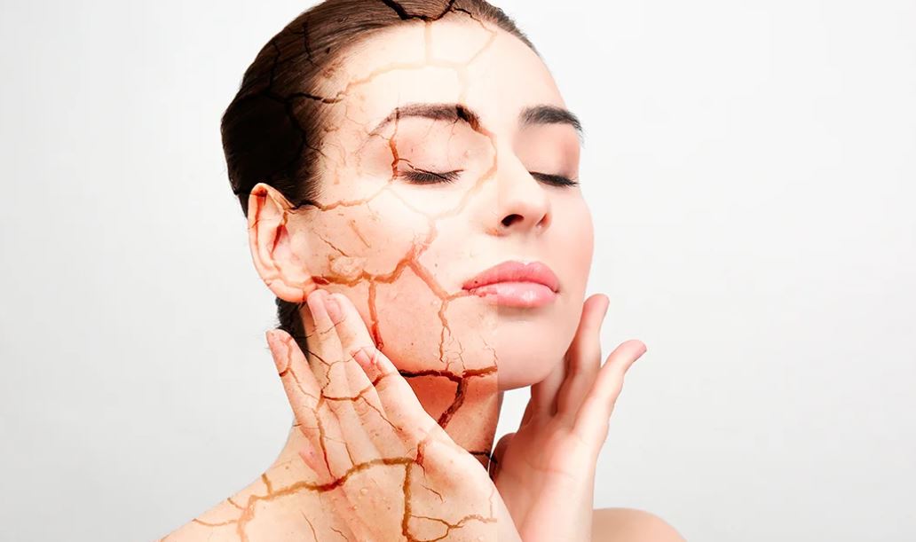 어린 콜라겐 추천