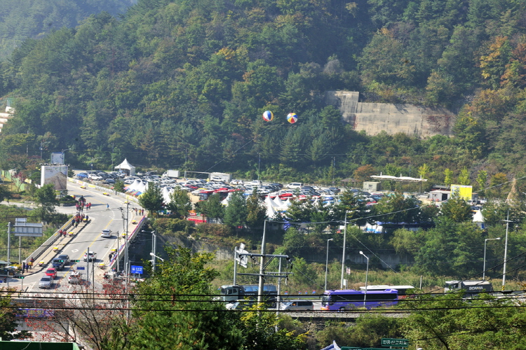 민둥산 억새꽃축제
