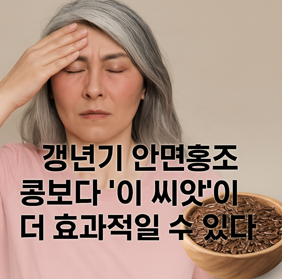 갱년기 안면홍조, 콩보다 '이 씨앗'이 더 효과적일 수 있다
