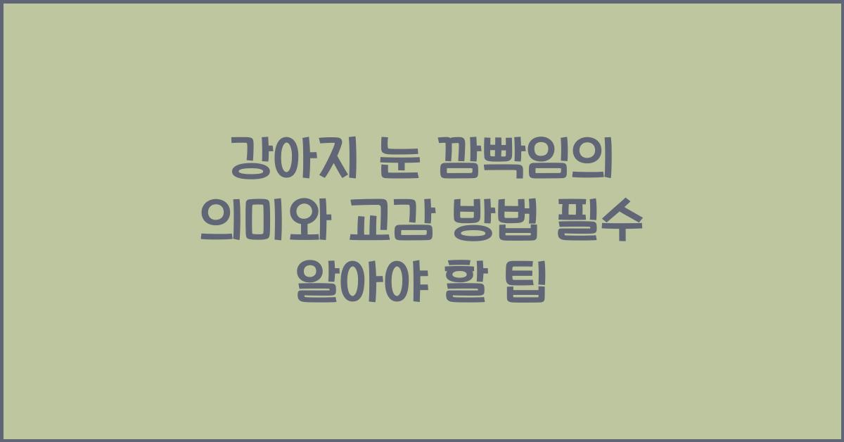 강아지 눈 깜빡임의 의미와 교감 방법