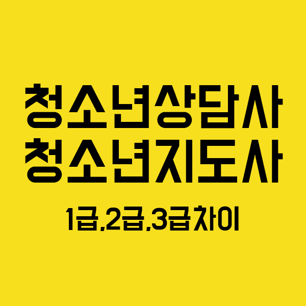 청소년상담사와 청소년지도사의 차이