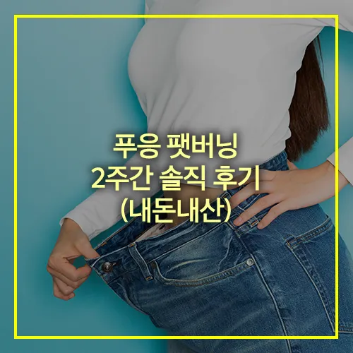 푸응 팻버닝 2주간 솔직 후기 내돈내산