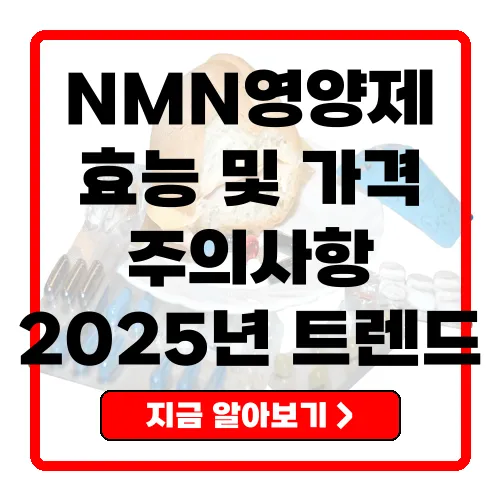 NMN영양제의 효능과 주의사항 2025년 최신 트렌드 총정리