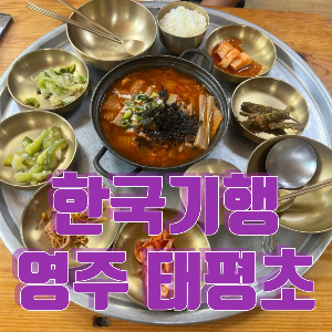 영주 태평초