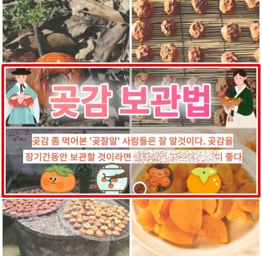 곶감 보관법