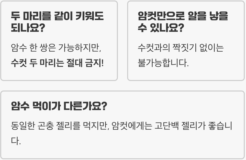 사슴벌레 암수구별, 쉽게 하는 방법