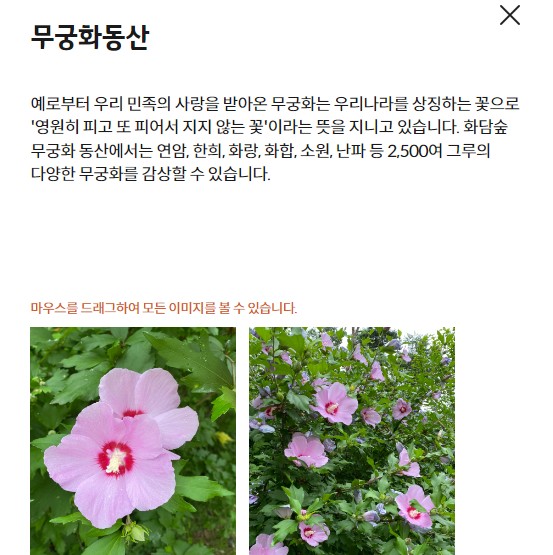 무궁화동산