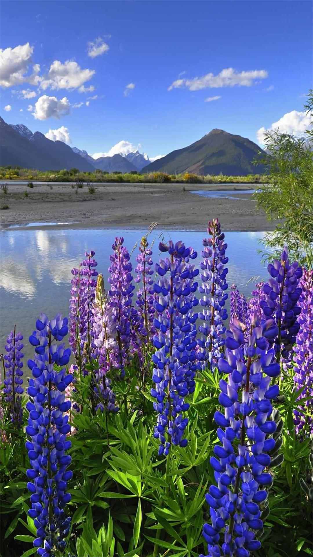 Flower wallpaper