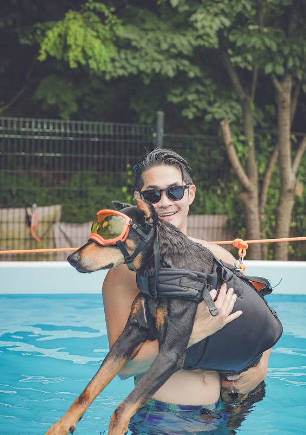 배정남 반려견