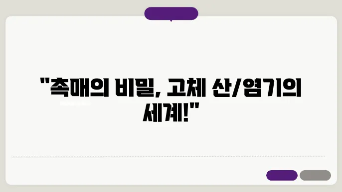 고체 산과 염기의 촉매 반응