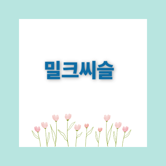 다이소영양제 추천 건강기능식품 추천템 인기4종 