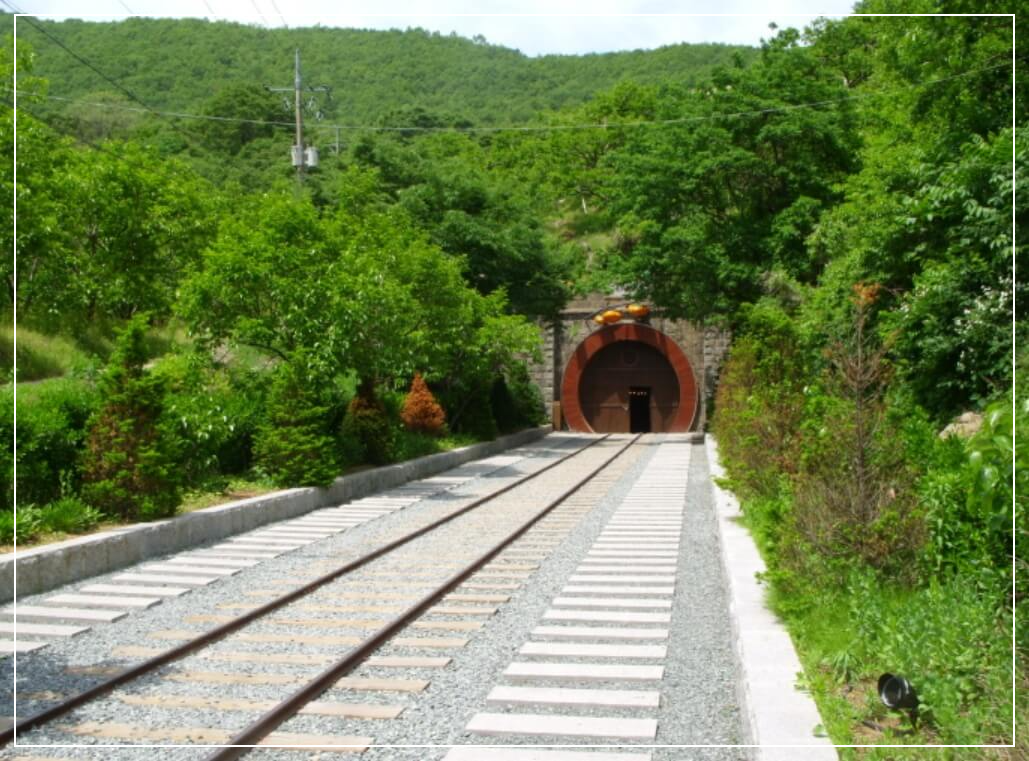 청도 가볼만한곳 베스트10 청도 와인터널
