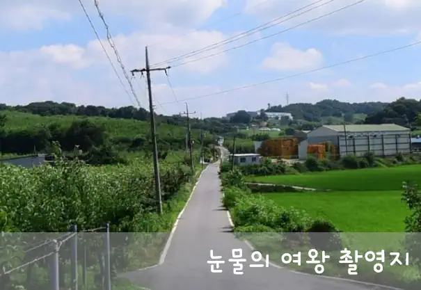 눈물의 여왕 촬영지 배밭