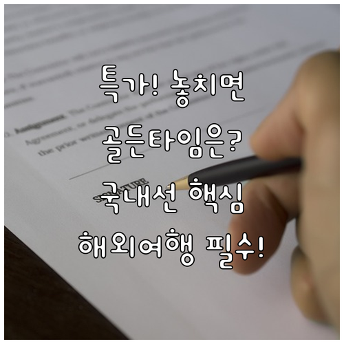 국제선 국내선 특가 항공권 예약 골든..