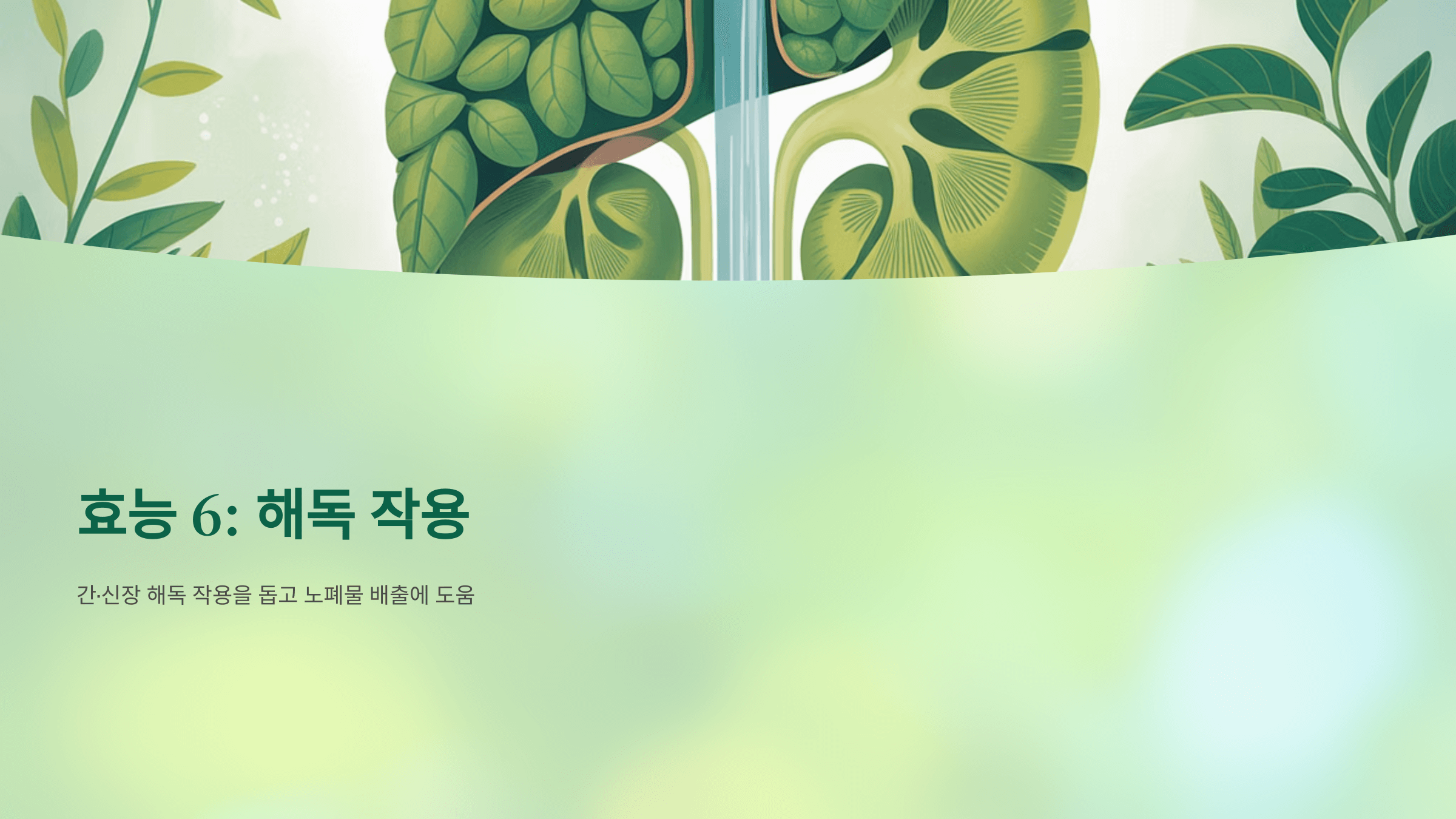 매실청 사진입니다.