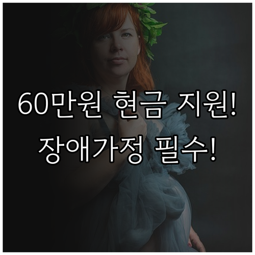 당진시 2025 장애인가정 임신 진료..