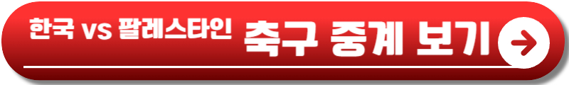 한국 팔레스타인 축구