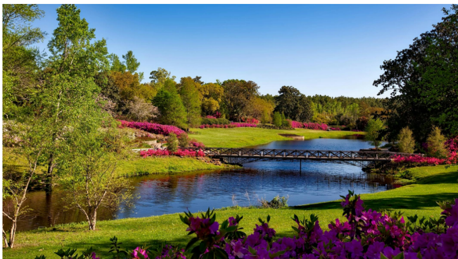 국립공원예약통합시스템