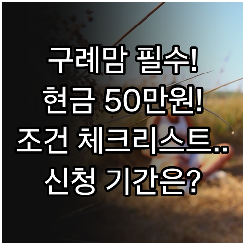 2025년 구례군 임신 50만원 지원..