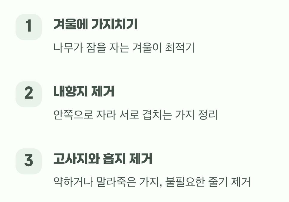 최소한의 손길로 완성하는 멋