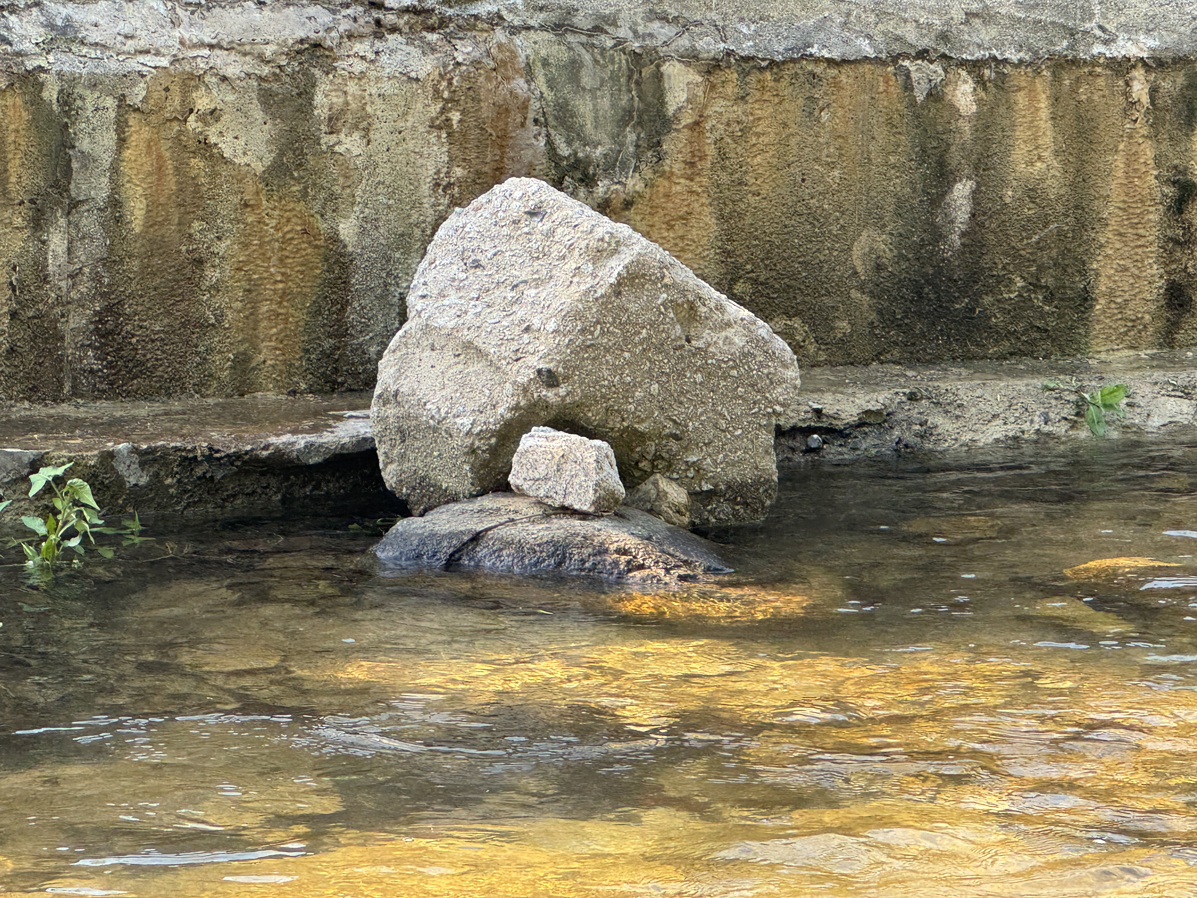 구석진-돌틈에-물고기들이-살아요