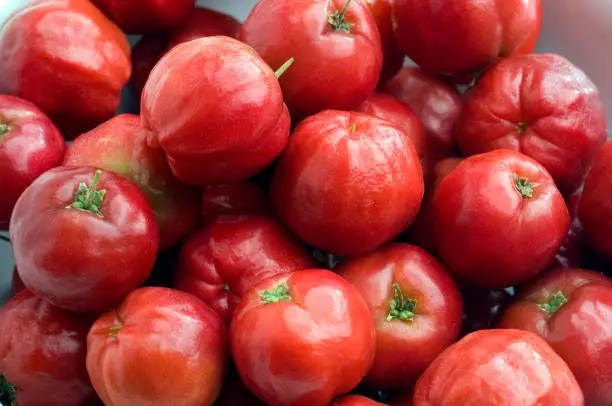 아세로라 여성청결제 왜 여성들 사이에서 인기일까? 아세로라 여성청결제 들어보셨나요? 이 과일이 여성의 청결을 돕는다니 굉장히 신기하죠? 이 아세로라 여성청결제가 무엇인지, 어떤 효과가 있는지, 어떻게 사용하는 것이 좋은지, 아세로라 여성청결제 고르는 방법까지 함께 확인해보세요~