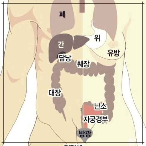 암 증상 10가지에 대한 이해