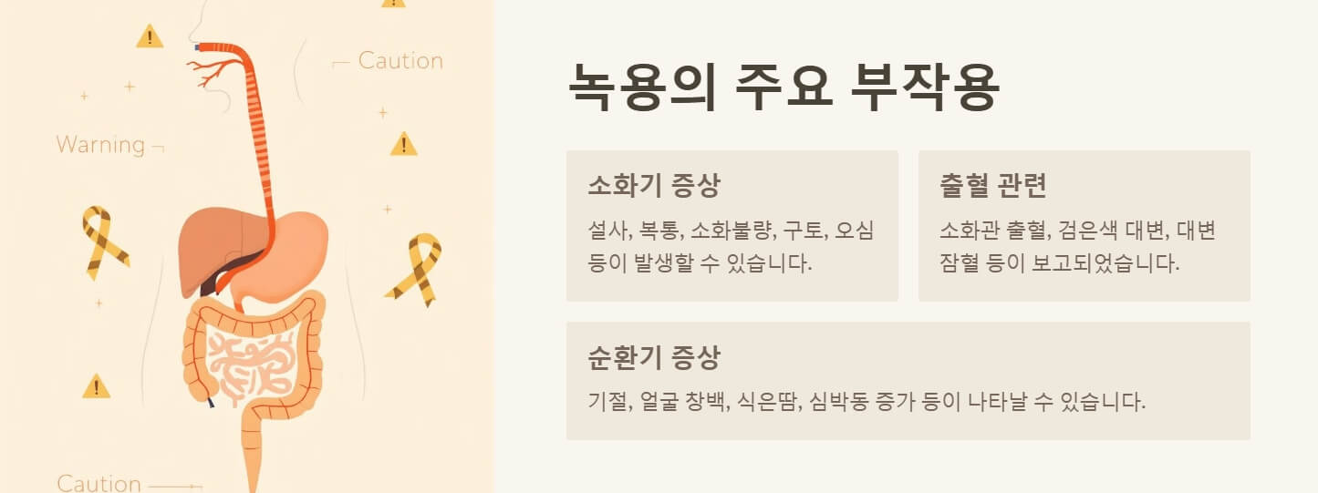 녹용 효능 부작용