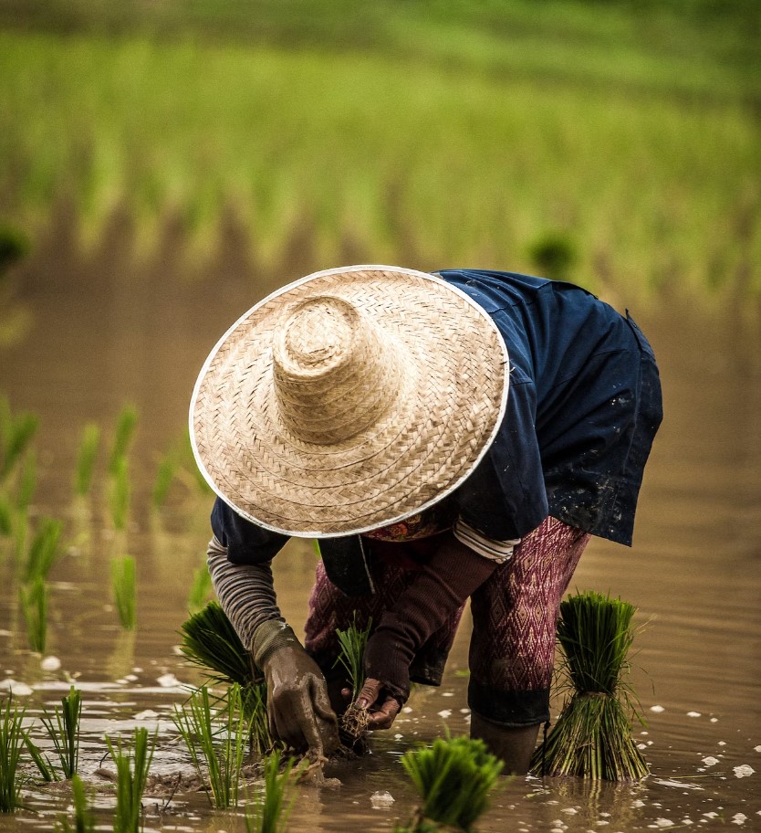 허리디스크 원인