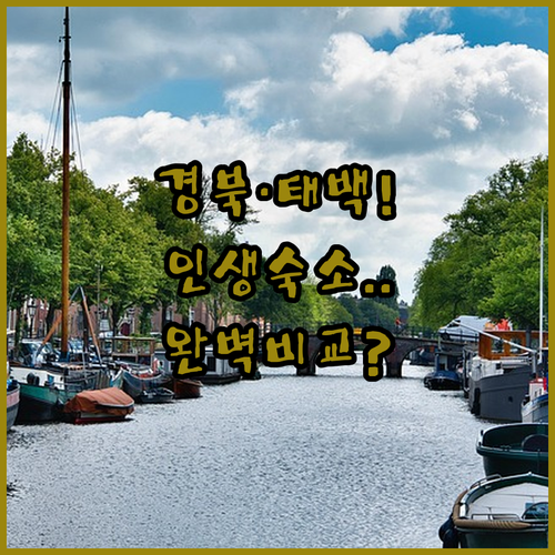 봉화 울진 영양 펜션과 태백 호텔까지..