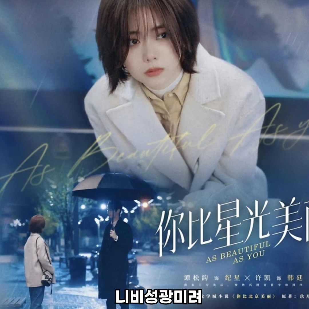 니비성광미려 중드 로맨스