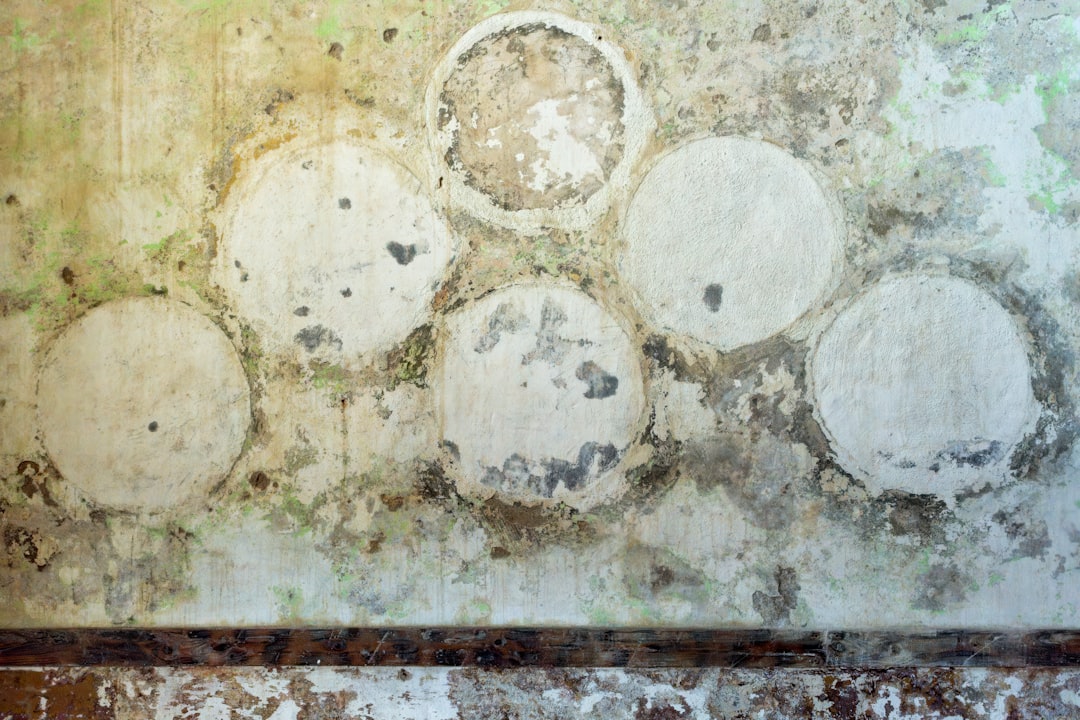 Mold