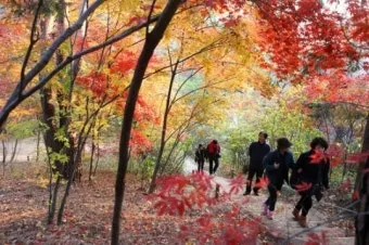 걷기좋은 숲길 50 서울 전남 경북_23