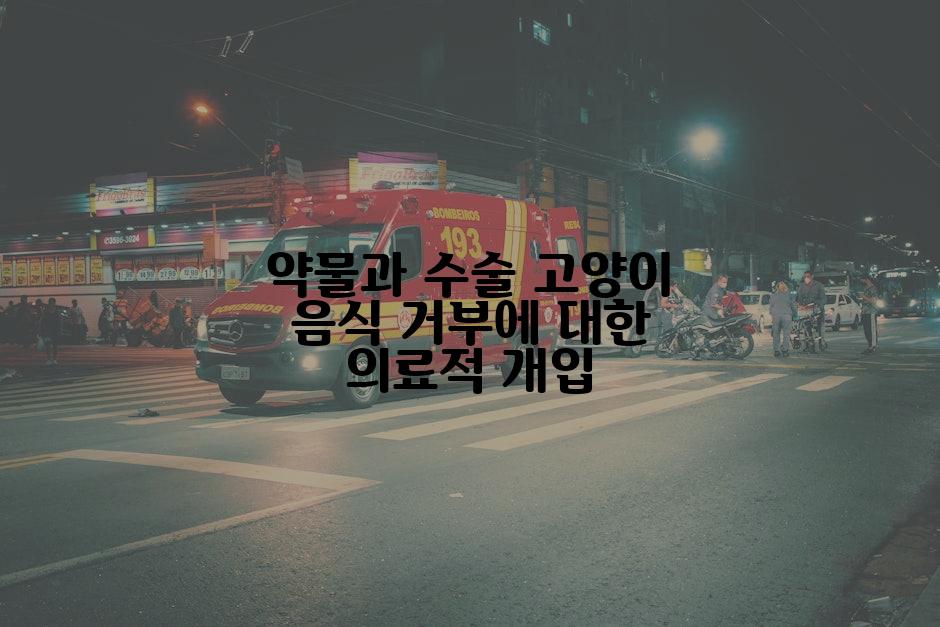 약물과 수술 고양이 음식 거부에 대한 의료적 개입