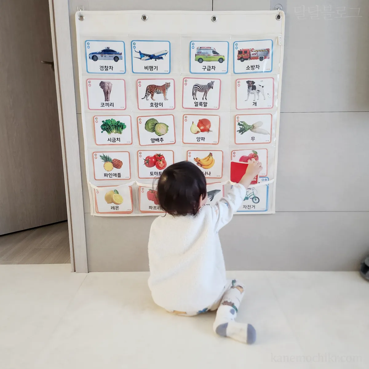 낱말카드정리-포켓