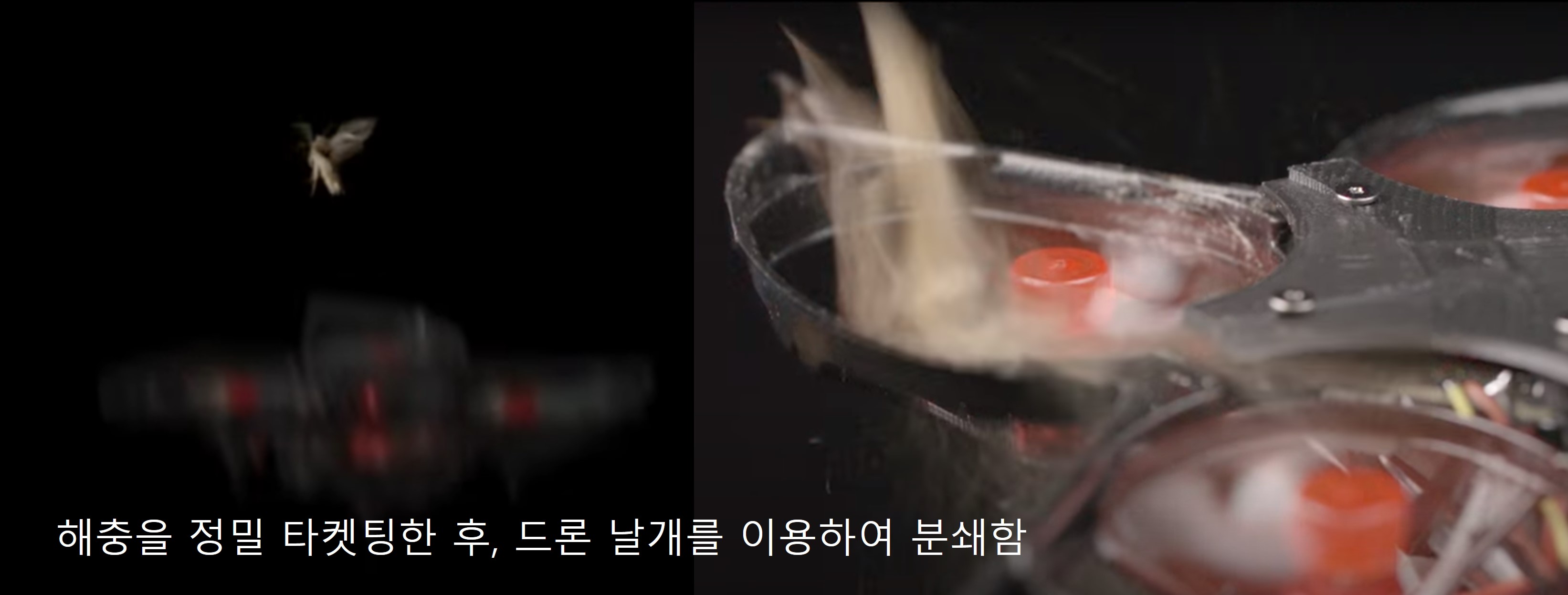 해충을 드론 날개로 분쇄하는 장면