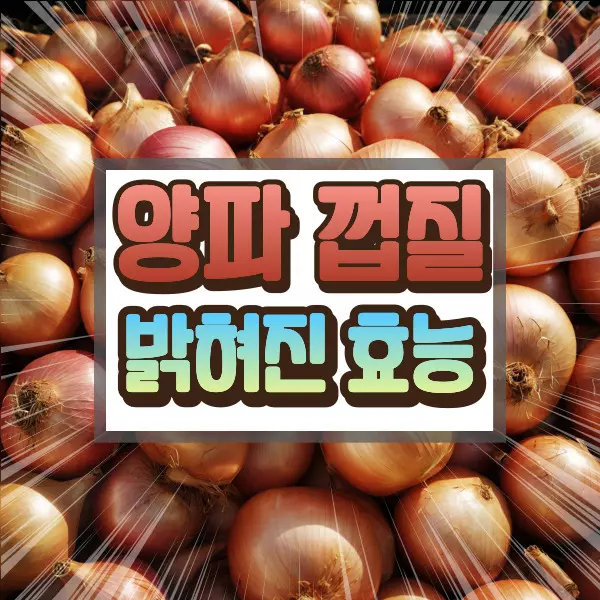 양파 껍질 효능