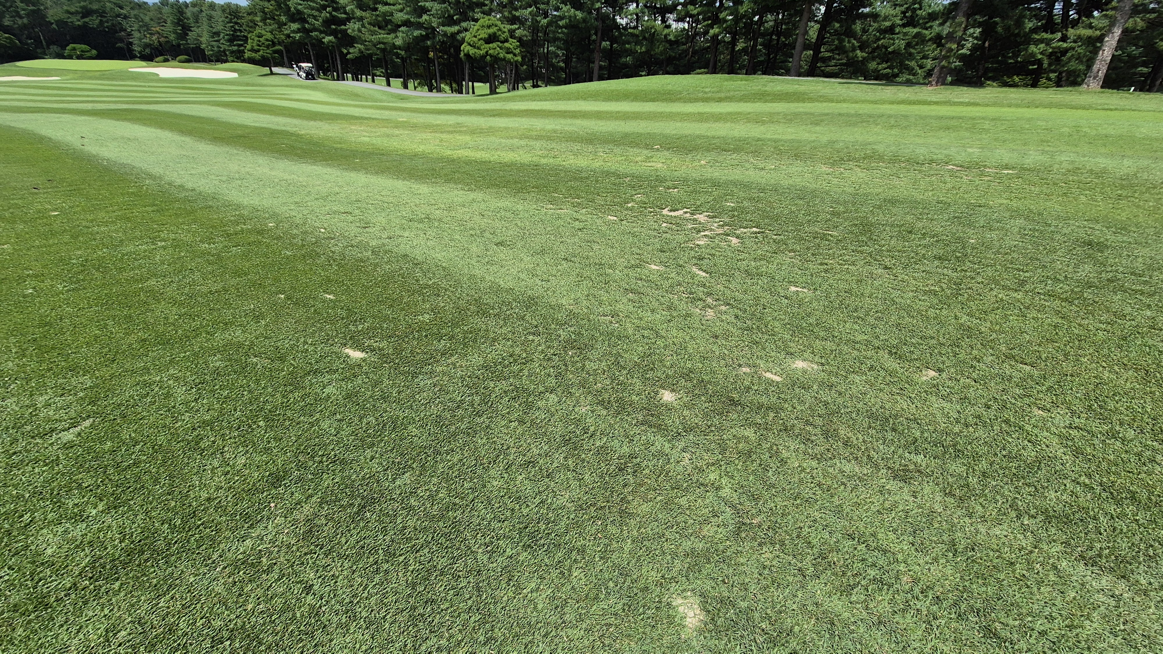 한성cc 오렌지-그린 코스 라운드 후기