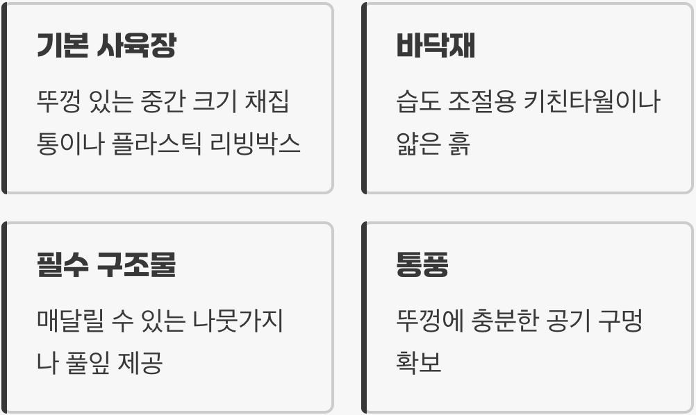 2. 베짱이를 위한 아늑한 집 꾸미기
