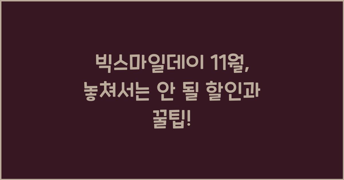 빅스마일데이 11월