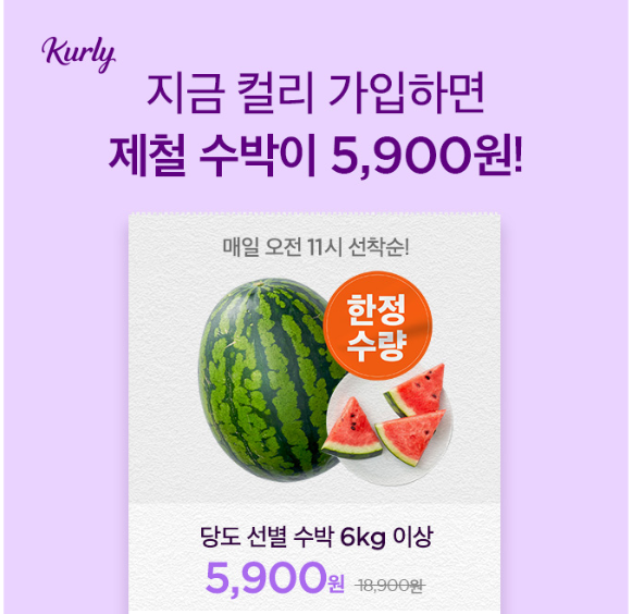 캐시워크 컬리 퀴즈 썸네일