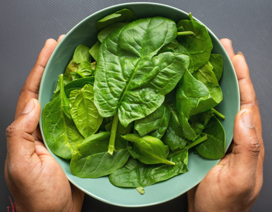 시금치 노인냄새제거 엽록소 클로로필 홀아비냄새제거 체취재거 녹색채소