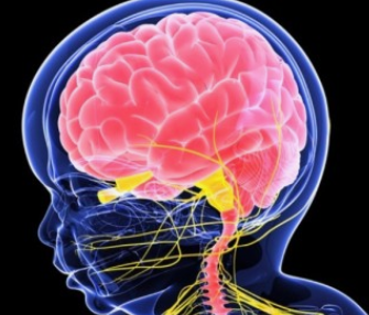 🧠 신경과 병동 간호: 뇌졸중 및 신경계 질환 환자 관리